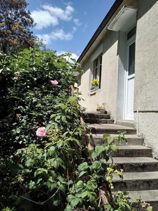 Maison De Village En Bord De Riviere Narcy Exteriér fotografie